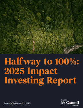 Cover of 2025 Impact Investing