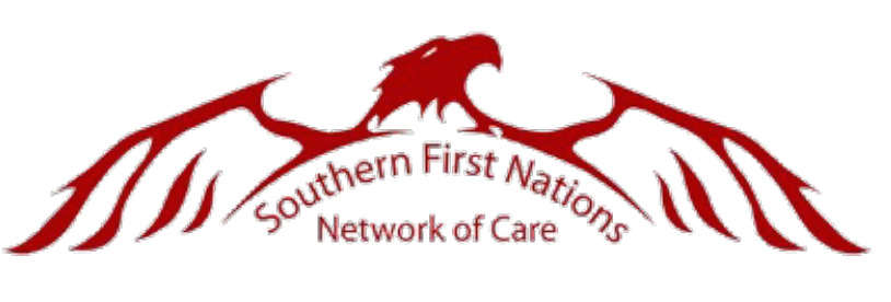 L'illustration d'un corbeau se trouve au-dessus des mots: Southern first nations network of care 